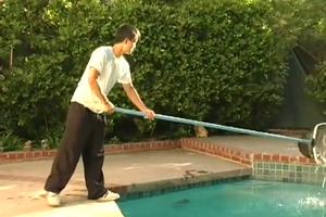 免费看的黄色网站